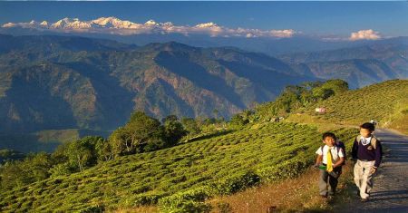 Darjeeling Gangtok 06 Nights 07 Days